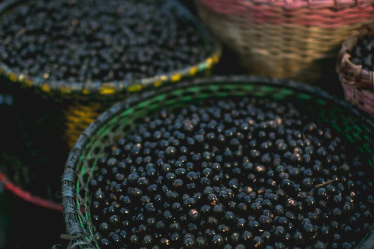 Feira do Açaí (no Complexo do Ver-o-Peso)