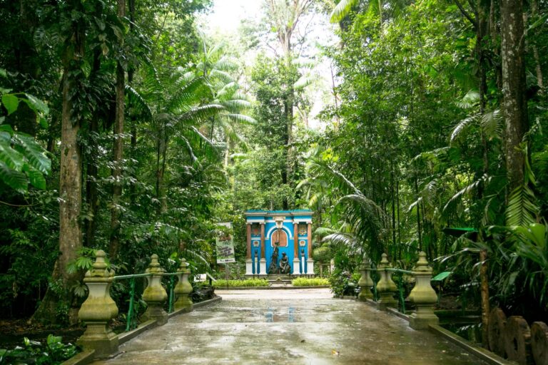 Jardim Botânico Bosque Rodrigues Alves