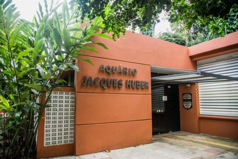 Aquário Jacques Huber (no Museu Emílio Goeldi)